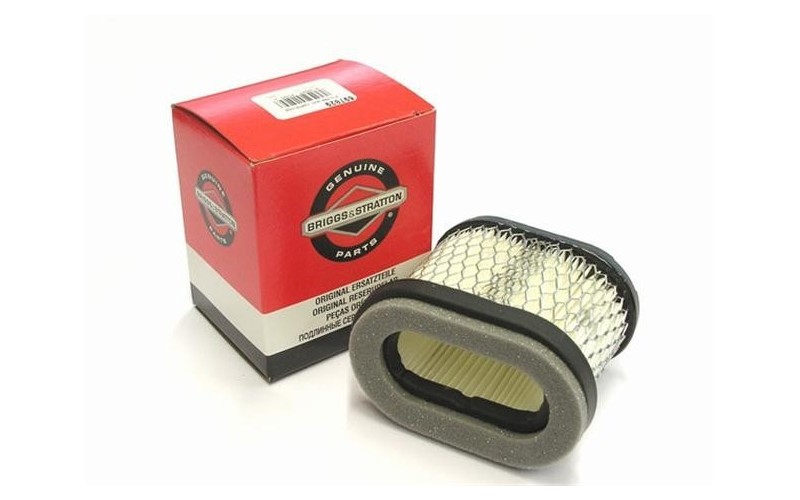 Filtr powietrza Briggs & Stratton