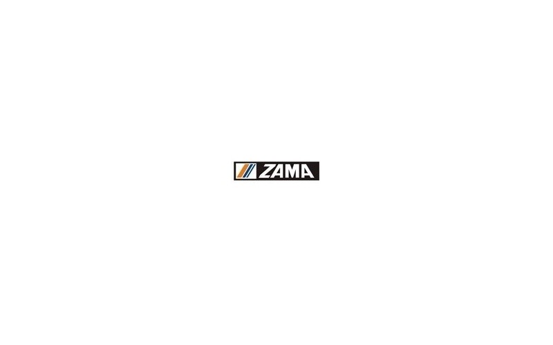 C1Q-K79 Gaźnik Echo - ZAMA