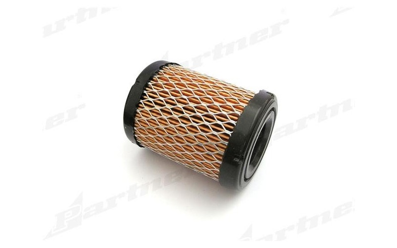 Filtr powietrza Briggs & Stratton