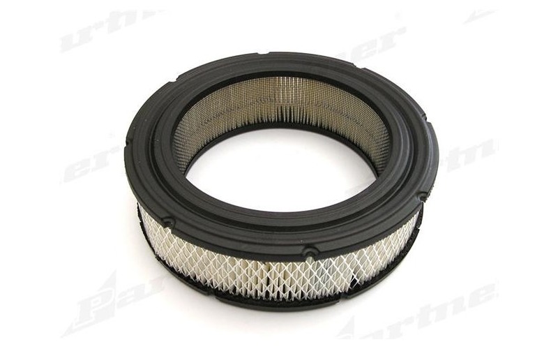 Filtr powietrza Briggs & Stratton
