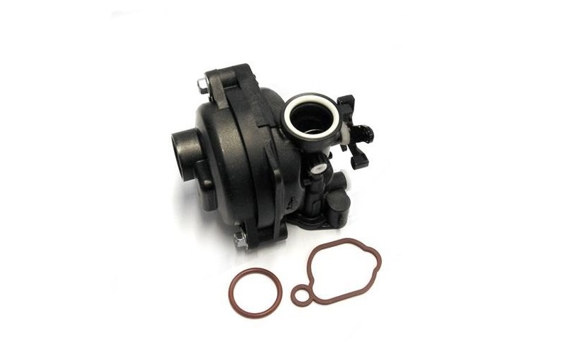 Gaźnik Briggs & Stratton 595656