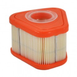 Filtr powietrza Briggs &...