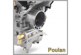 Poulan