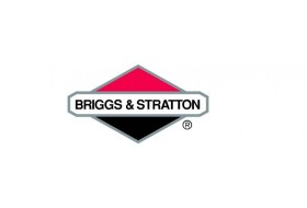 Gaźniki Briggs & Stratton