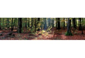 Części zamienne i akcesoria do pilarek, części do pilarek spalinowych